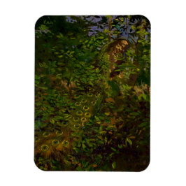 Íman Pavão na floresta