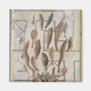 Íman Pavimento que descreve os peixes que escapam de