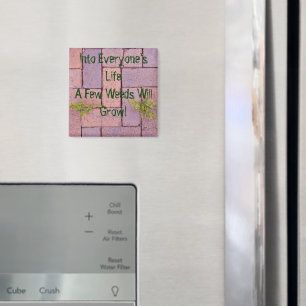 Íman Paving Stones Weeds Em Foto De Caminho Personaliza