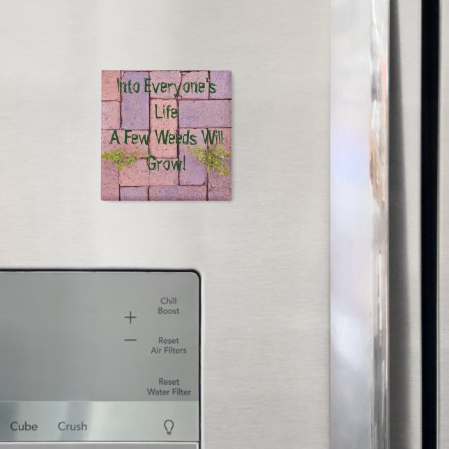 Íman Paving Stones Weeds Em Foto De Caminho Personaliza (In Situ (Fridge))