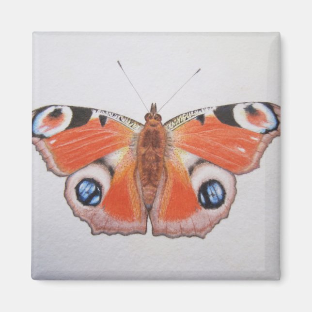 Íman Pavock Butterfly 2012 (Frente)