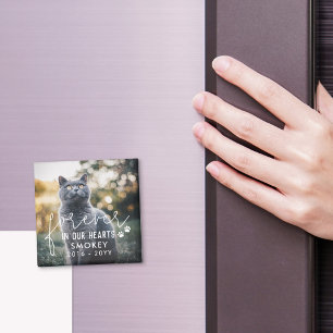 Íman Paw Imprime Para Sempre Em Nossos Corações Foto De