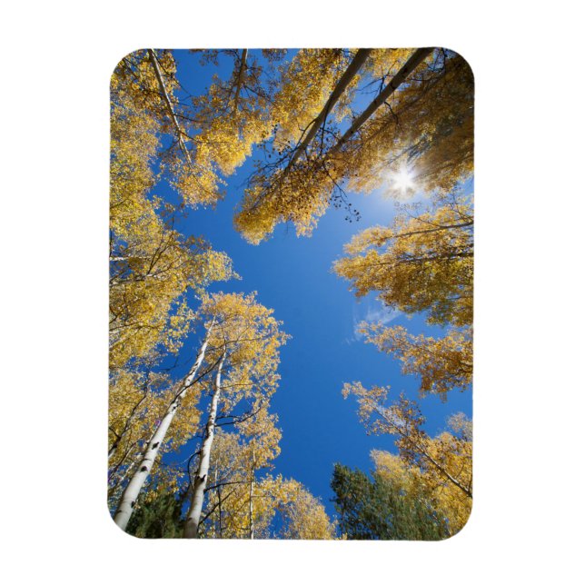 Íman Paz e serenidade no Aspen (Vertical)