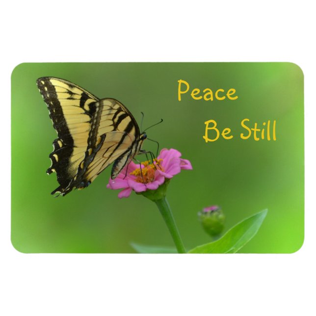 Íman Paz Seja Ainda Borboleta (Horizontal)