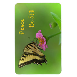 Íman Paz Seja Ainda Borboleta