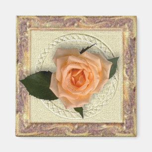 Íman Peach Rosa in Vintage Frame