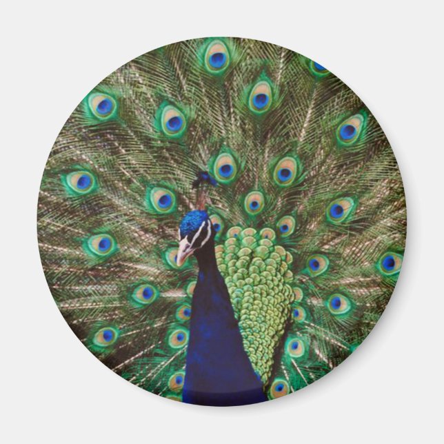 Íman Peacock (Frente)