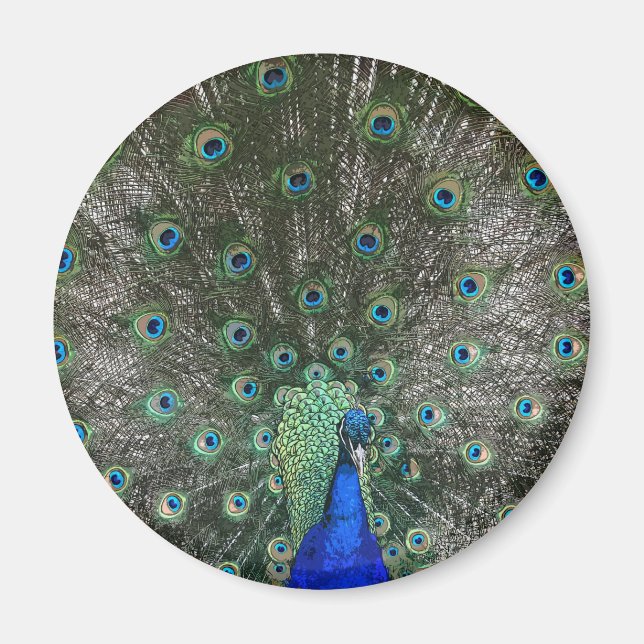 Íman Peacock (Frente)