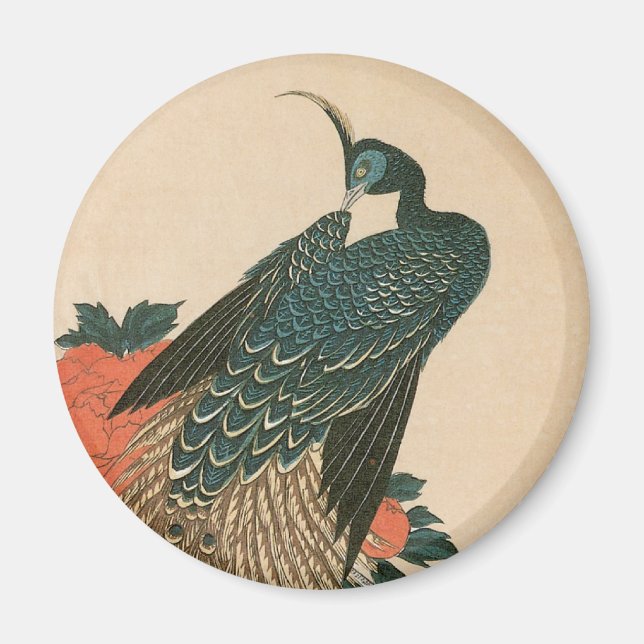 Íman Peacock and Peonies by Hiroshige, Arte Japonesa (Frente)