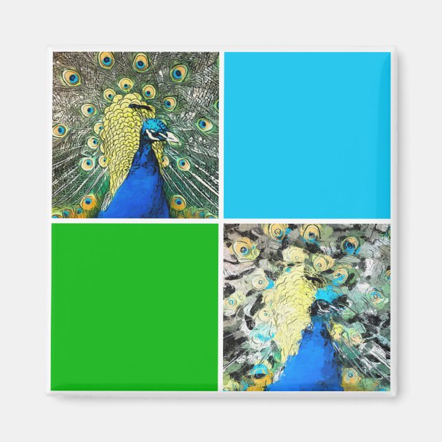 Íman Peacock Art (Frente)
