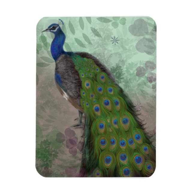 Íman Peacock bonito (Vertical)