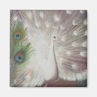 Íman Peacock Branco e Impressão de arte de Pavão Verde