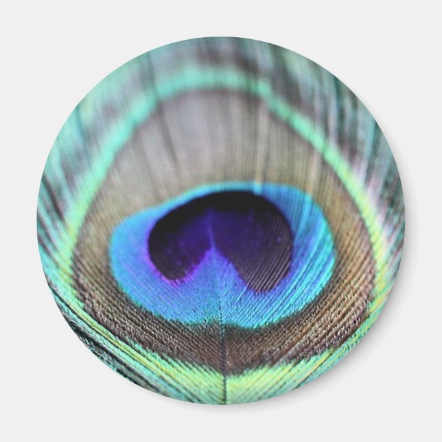 Íman Peacock Feather (Frente)