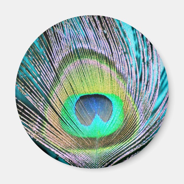 Íman Peacock Feather em Turquoise (Frente)