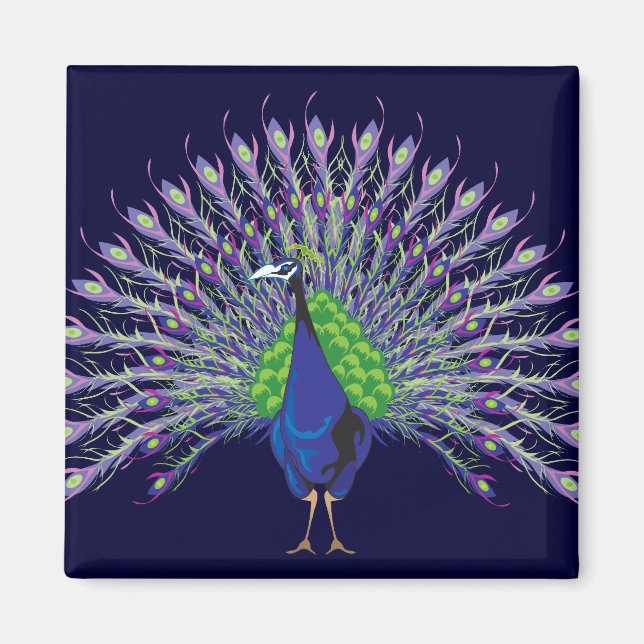 Íman Peacock Magnets (Frente)