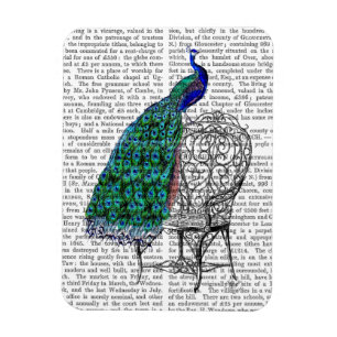 Íman Peacock na Presidência