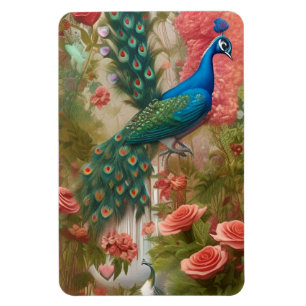 Íman Peacock no Jardim Rosa de Apricot