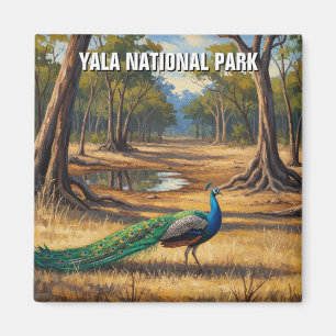 Íman Peacock no Sri Lanka Viagem do Parque Nacional de