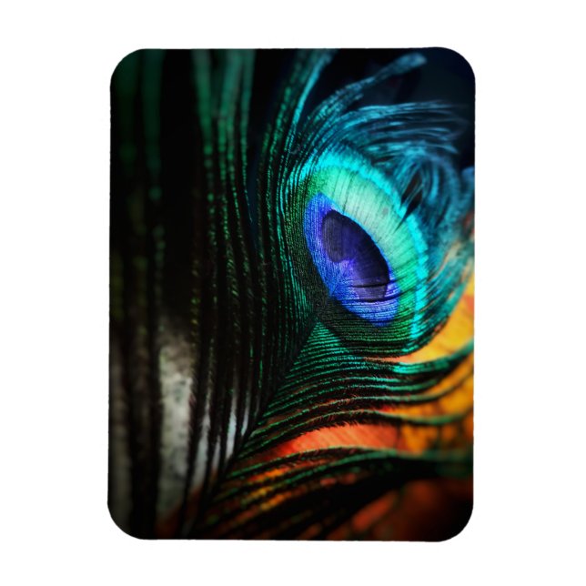 Íman Peakcock Feather de perto e pessoal (Vertical)