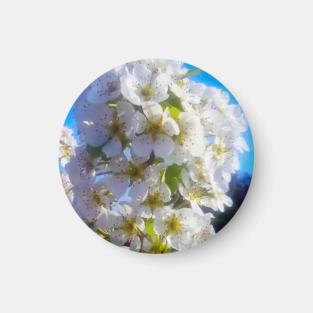Íman Pear Blossoms (Frente)