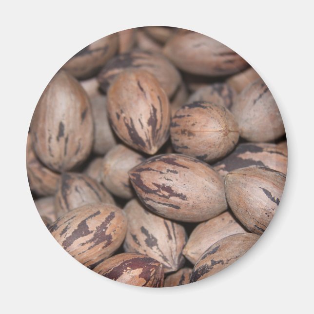 Íman Pecan Magnet (Frente)