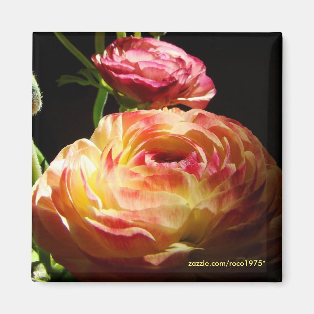 Íman Pedras de Passagem (Frente)