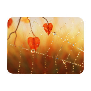 Íman Pedras de um ímã flexível de manhã de outono