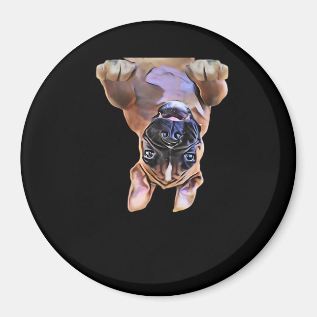 Íman Peekaboo Boxer (Frente)