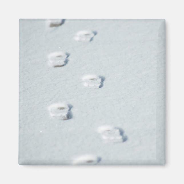 Íman Pegadas em neve (Frente)