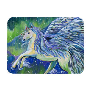 Íman Pegasus À Luz Do Norte