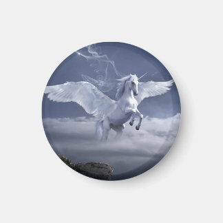 Íman Pegasus em voo