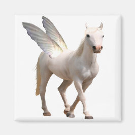 Íman Pegasus Magnet