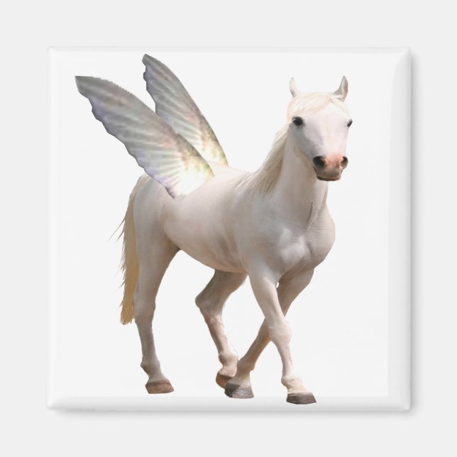 Íman Pegasus Magnet (Frente)