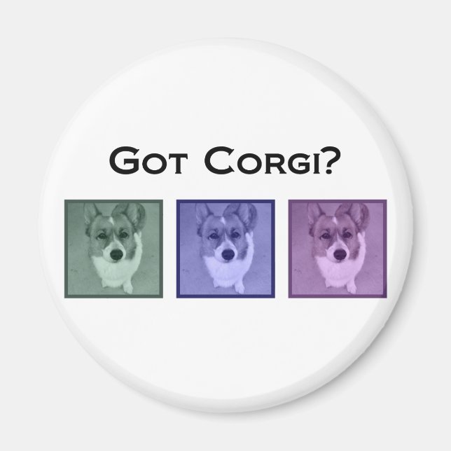 Íman Pegou Corgi? Corgis (Frente)