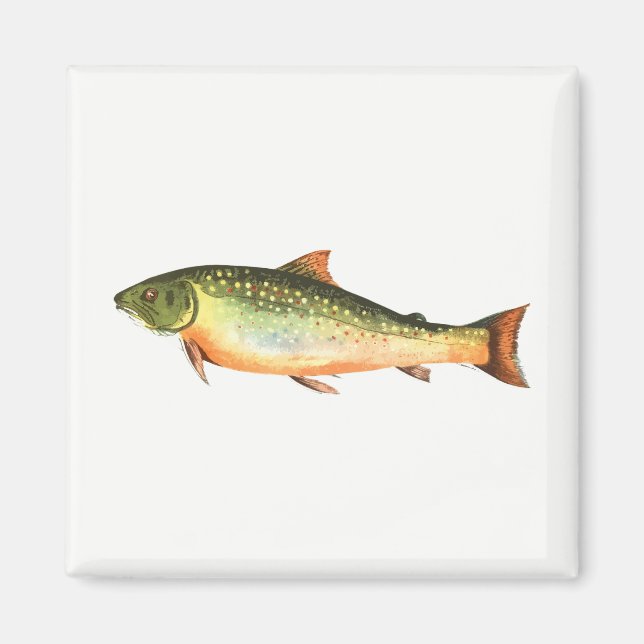 Íman Peixe (Frente)