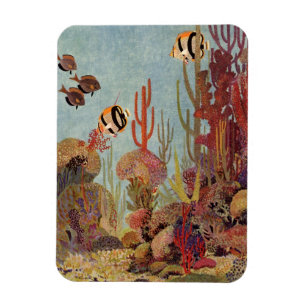 Íman Peixe-anjo no Coral, Peixe Tropical Antigo no Ocea