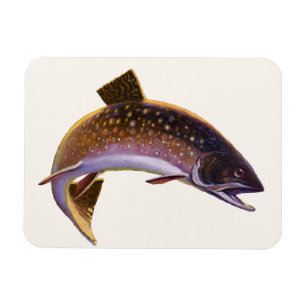 Íman Peixe Antigo, Pescador de Pesca Esportiva