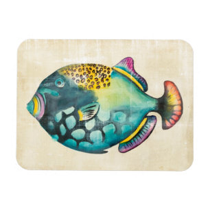 Íman Peixe de Aquário Azul e Roxo