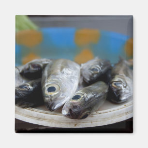 Íman Peixe fresco no Mercado de Peixe