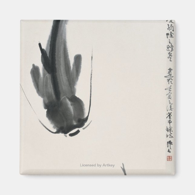 Íman Peixe-gato chinês (Frente)