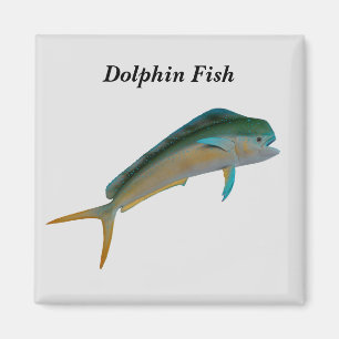 Íman Peixe-golfinho