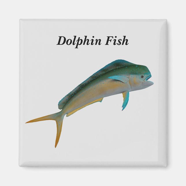 Íman Peixe-golfinho (Frente)