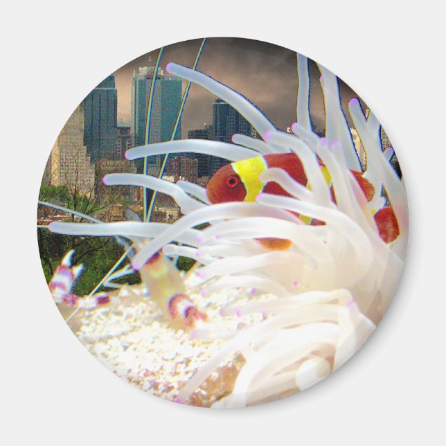 Íman Peixe-Palha (Frente)