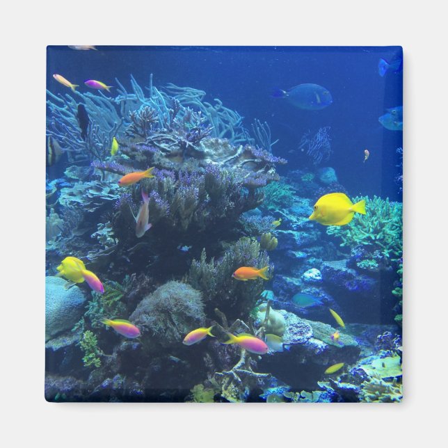 Íman Peixe tropical amarelo (Frente)