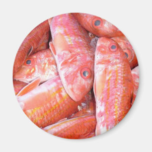 Íman Peixes