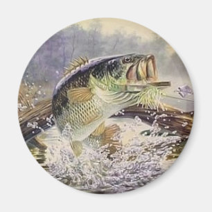 Íman peixes baixos