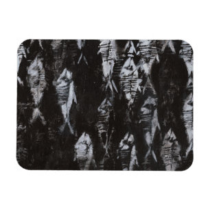 Íman Peixes Brancos Fósseis em Fundo Preto