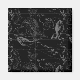 Íman Peixes Constellation Hevelius 1690 em Preto