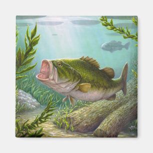 Íman Peixes de Bass