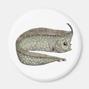 Íman Peixes De Peixes Oárpticos Detidos Vintage, Vida A